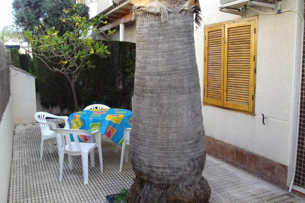 Апартаменты La Casa De La Palmera Торевьиа Экстерьер фото